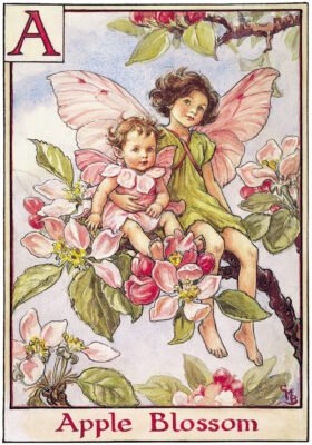 Flower Fairies Alphabet by Cicely Mary Barker
