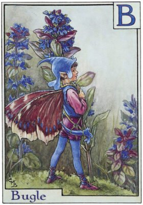 Flower Fairies Alphabet by Cicely Mary Barker