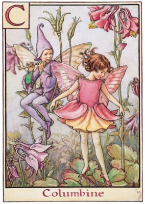 Flower Fairies Alphabet by Cicely Mary Barker