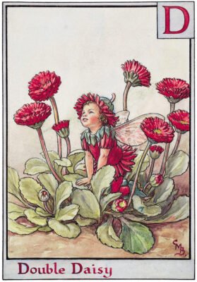 Flower Fairies Alphabet by Cicely Mary Barker