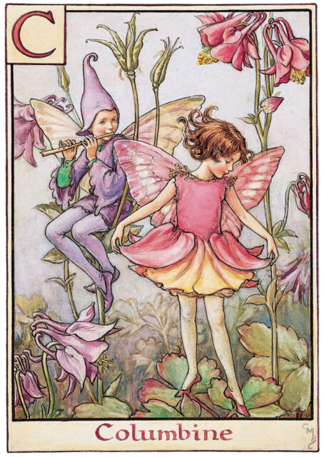 Flower Fairies Alphabet by Cicely Mary Barker