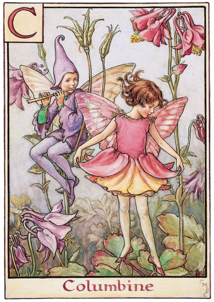 Flower Fairies Alphabet by Cicely Mary Barker