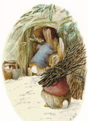 World of Animal Illustrations in Books for Kids by Beatrix Potter