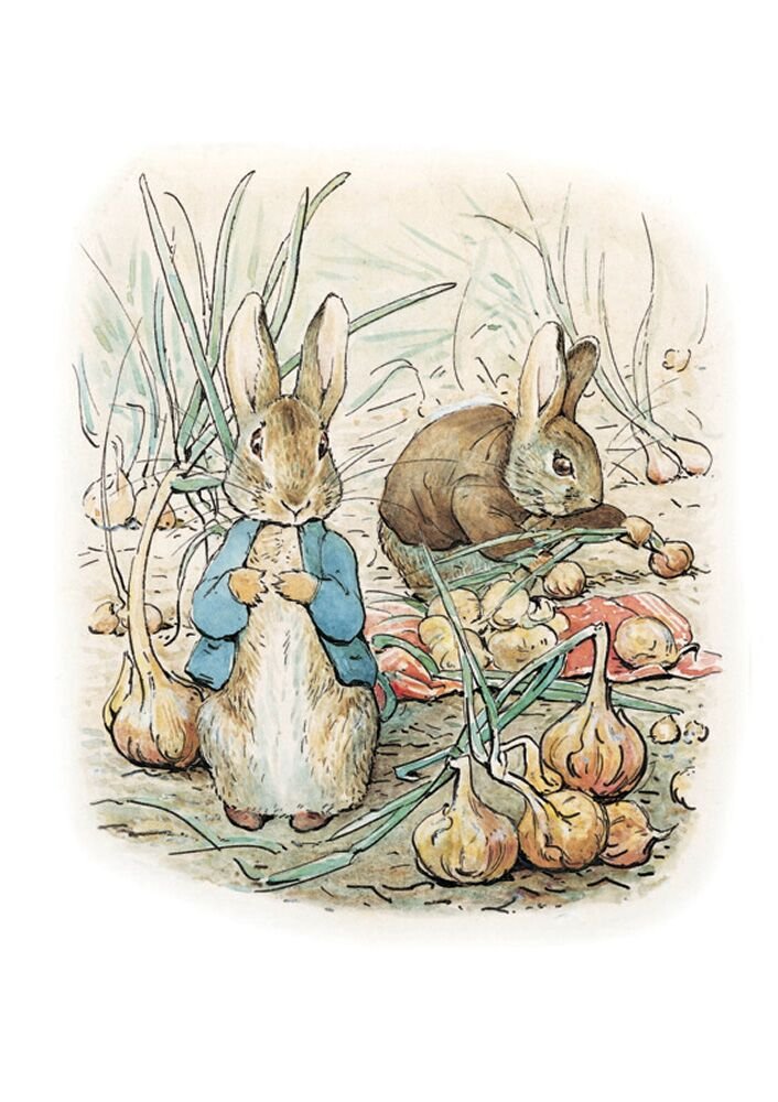 World of Animal Illustrations in Books for Kids by Beatrix Potter
