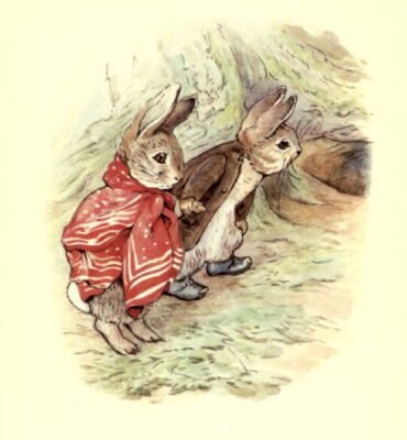 World of Animal Illustrations in Books for Kids by Beatrix Potter